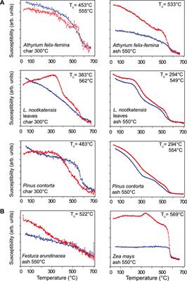 Magnetic Properties of Plant Ashes and Their Influence on Magnetic Signatures of Fire in Soils